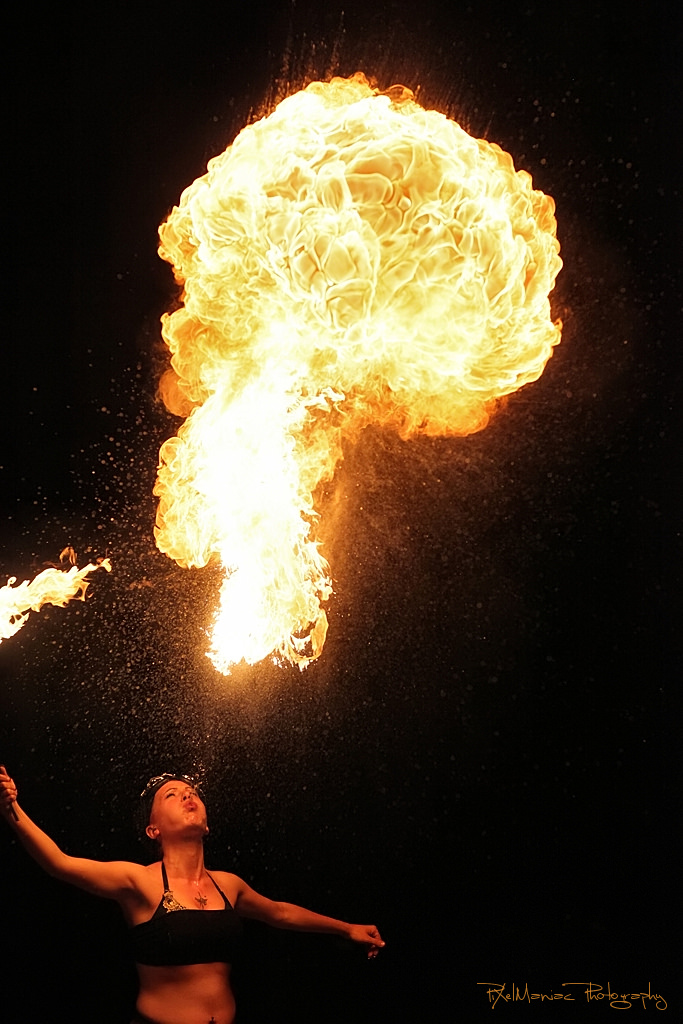 IMG 4887 2 4683565114